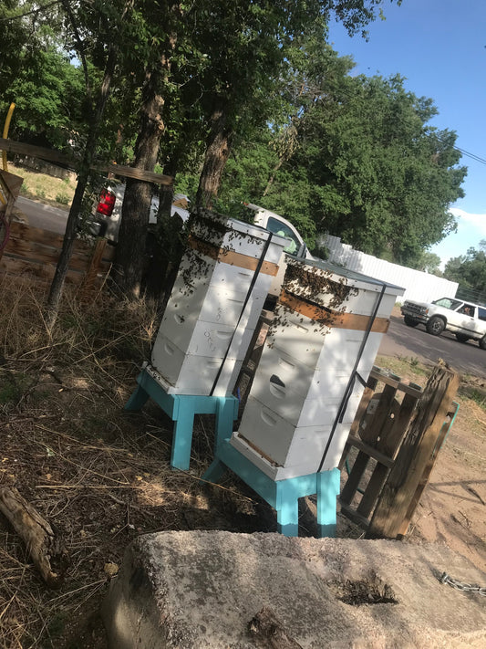 BLACK FRIDAY SALE ON FULL HIVES 2026 image 1